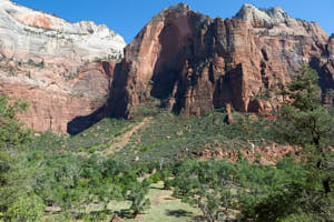 USA Zion<br>NIKON D4, 24 mm, 100 ISO,  1/320 sec,  f : 7.1 